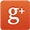 Google+ logo